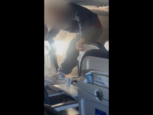 ⁣Passenger's violent outburst results in airline ban #Shorts