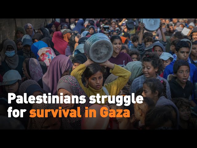 ⁣Palestinians struggle for survival in Gaza