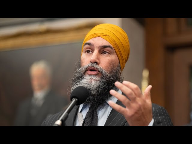 ⁣Singh demands Liberals' $250 rebate plan include seniors and people with disabilities