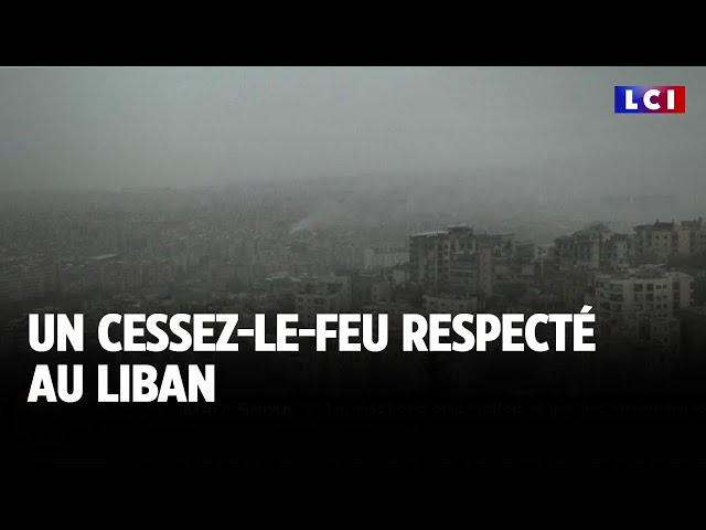 ⁣Au Liban : le cessez-le-feu respecté｜LCI