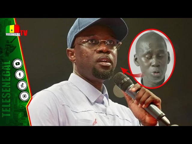 ⁣Senghane Senghor démontre comment SONKO a sauvé PASTEF d'une défaite et avertit...