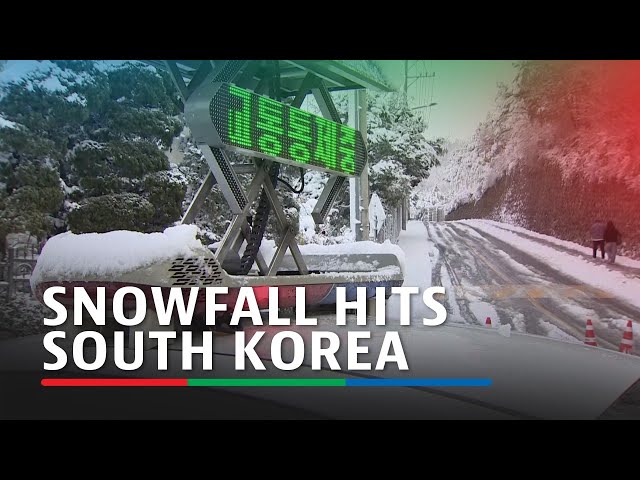 ⁣Snowfall hits South Korea: Flights grounded, power cut | ABS-CBN News