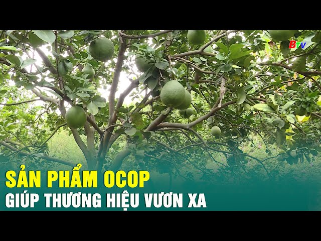 ⁣Sản phẩm OCOP giúp thương hiệu vươn xa