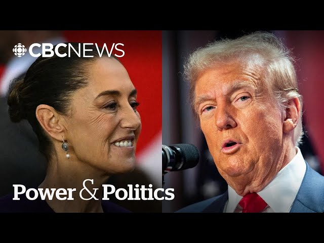 ⁣Trump tariffs will bring ‘severe storm’: former Mexican negotiator | Power & Politics