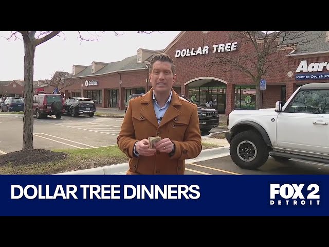 ⁣Dollar Tree Dinners: Howe to feed a family on a budget this Thanksgiving