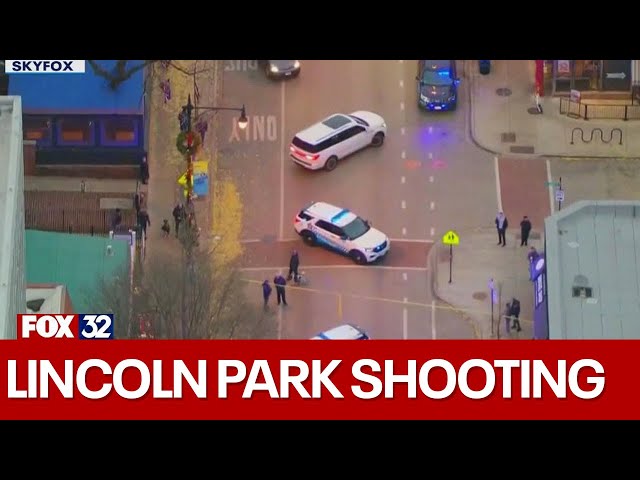 ⁣Man shot, critically hurt in Lincoln Park, police say