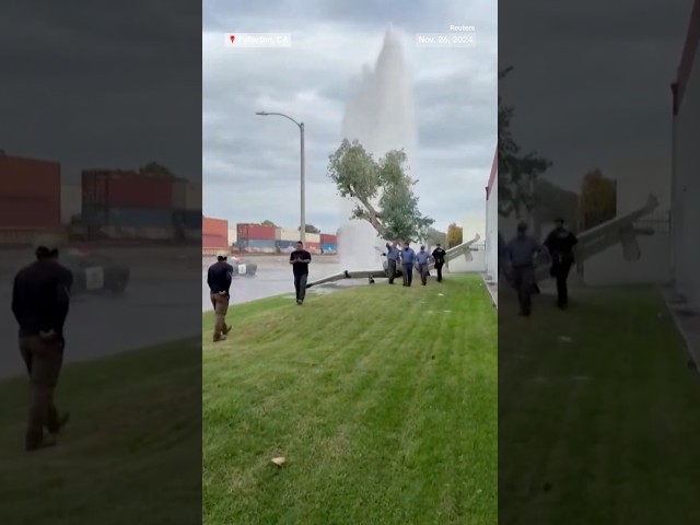 ⁣Video captures moment small plane crashes into tree, fire hydrant