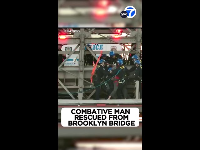 ⁣Terrifying rescue on the Brooklyn Bridge