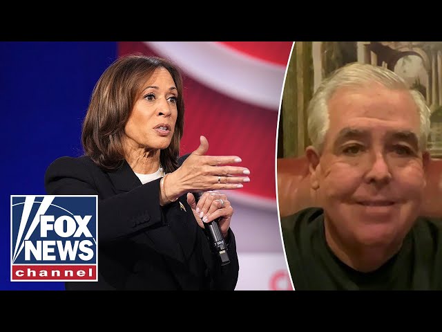 ⁣‘NO TALENT’: Harris can ‘never’ run for president again, ex-donor says