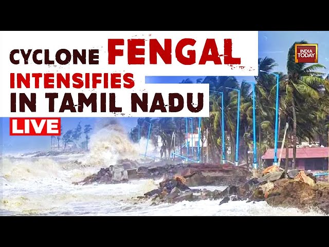 ⁣Tamil Nadu Cyclone LIVE: Cyclone Fengal Intensifes, Heavy Rainfall In Several Tamil Nadu Districts