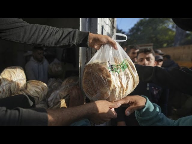 ⁣Nueva crisis alimentaria en Gaza debido a la falta de harina mientras más palestinos huyen del norte