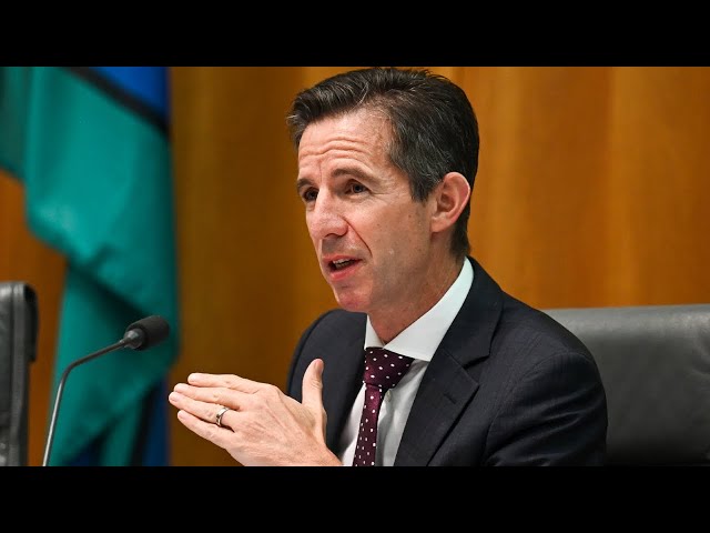 ⁣Simon Birmingham’s resignation is a ‘bad sign’ in the leadup to an election