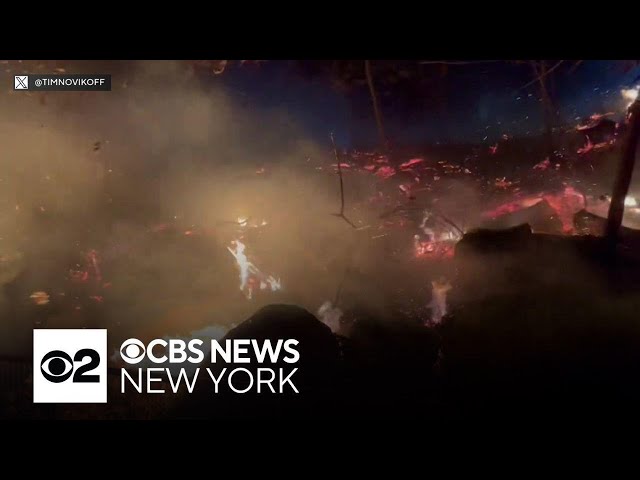 ⁣Repairing Prospect Park brush fire damage could take 3 years, officials say