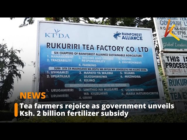 ⁣Government releases Kshs. 2 billion fertilizer subsidy for tea farmers