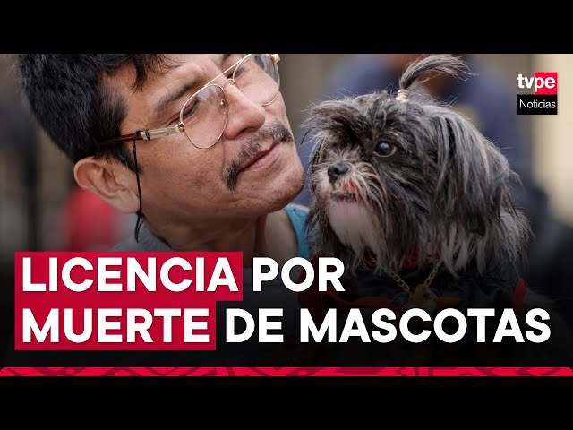 ⁣Congreso: proponen licencia laboral por fallecimiento de mascotas