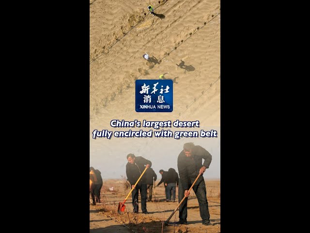 ⁣Xinhua News | China's largest desert fully encircled with green belt