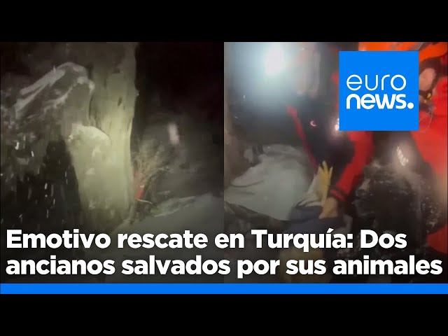 ⁣Una pareja de ancianos sobrevive a una fuerte nevada en Turquía gracias a sus animales