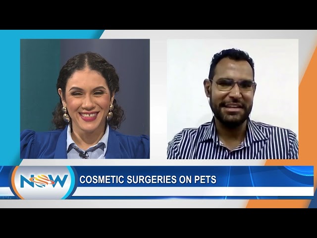 ⁣Cosmetic Surgeries On Pets