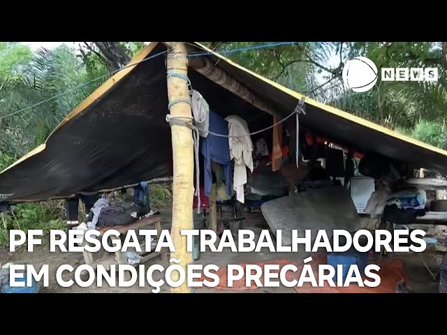 ⁣PF resgata 15 trabalhadores em situação análoga à escravidão no Pantanal