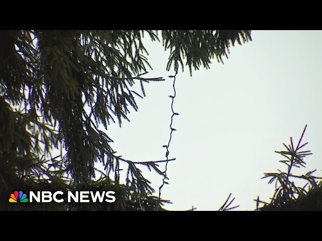 ⁣Worker seriously hurt by an electric shock while hanging Christmas lights