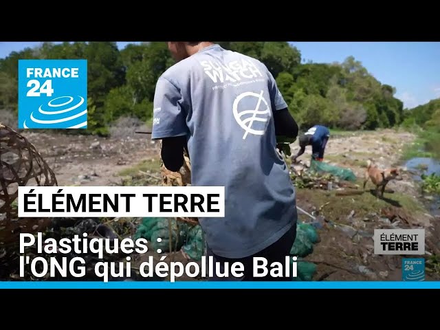 ⁣Face à la pollution au plastique à Bali, l'ONG Sungai Watch dépollue les rivières • FRANCE 24