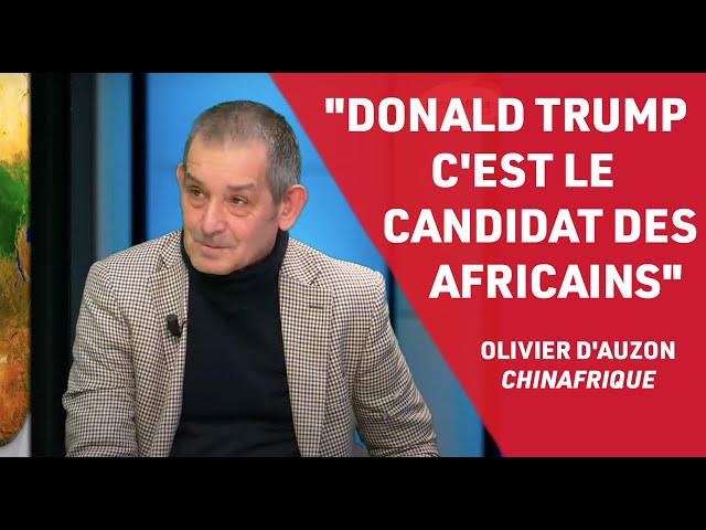 ⁣"L'Afrique est très sensible au niveau des BRICS" dans Chinafrique Olivier d'Auz