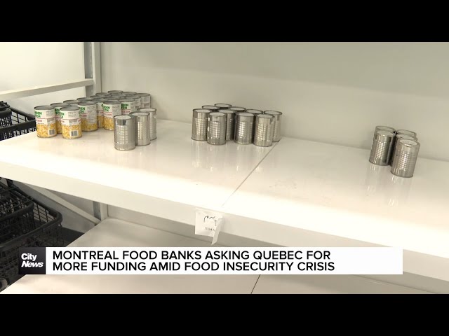 ⁣Montreal food banks want more funding from Quebec