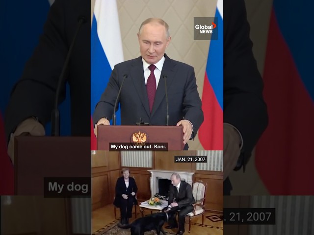 ⁣Putin denies he used his dog to intimidate German chancellor in notorious diplomatic incident