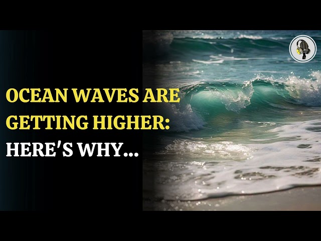 ⁣Ocean Waves Are Getting Higher  Here's Why… | WION Podcast