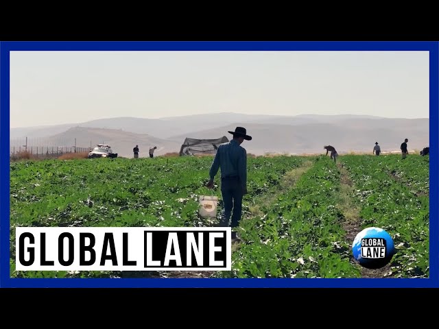 ⁣Cowboys Assist Israelis | The Global Lane - November 28, 2024