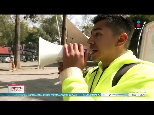 ⁣¿Qué hacer cuando se nos pierden nuestras mascotas? | Noticias con Crystal Mendivil