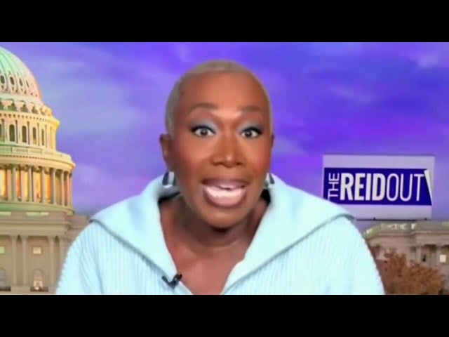 ⁣‘Extraordinary’: Joy Reid under fire for ‘unhinged’ Thanksgiving rant