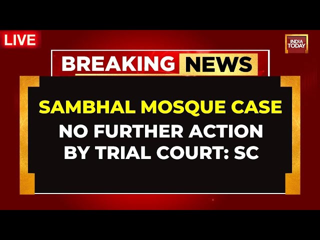 ⁣Sambhal Mosque Survey Case LIVE | No Further Action By Trial Court, Says Supreme Court