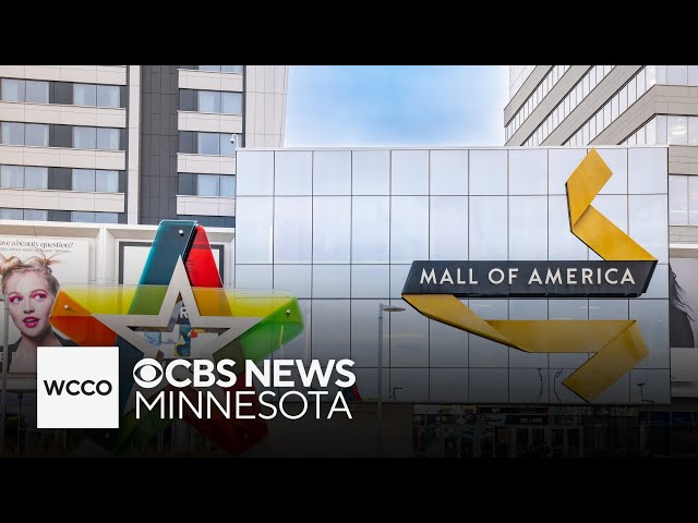 ⁣Mall of America offering Black Friday deals, mystery gifts