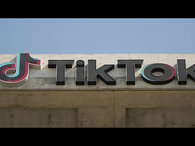 ⁣TikTok accused of failing to tackle election disinformation in Ireland