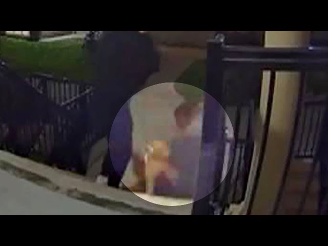 ⁣Coyote attack in Toronto's Liberty Village caught on camera