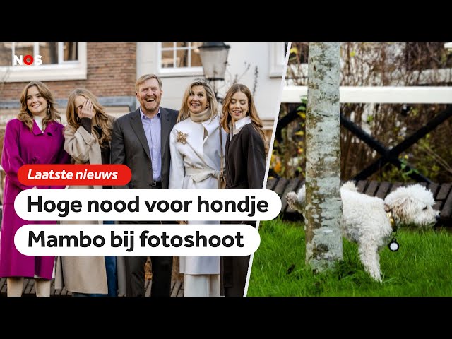 ⁣Koninklijke familie poseert voor de halfjaarlijkse fotosessie