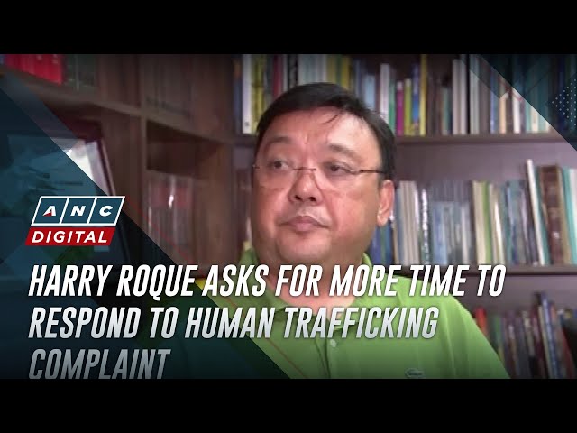 ⁣Harry Roque asks for more time to respond to human trafficking complaint