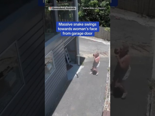 ⁣Massive snake swings toward woman's face from garage door #shorts