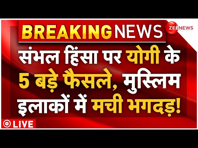 ⁣CM Yogi 5 Big Action In Sambhal Mosque Clash LIVE : संभल में योगी के 5 बड़े फैसलों से हिल गए मुस्लिम