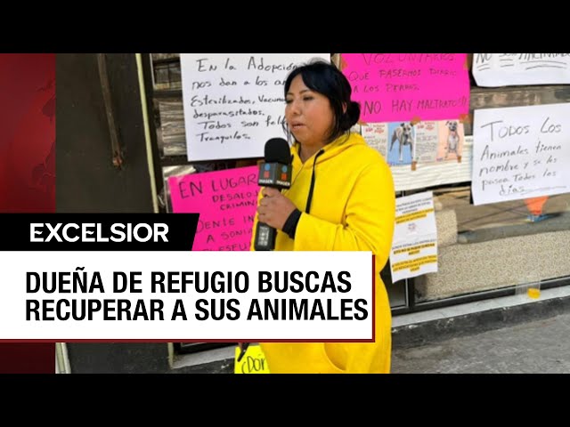 ⁣Exigen que regresen perros a dueña de refugio de la Narvarte