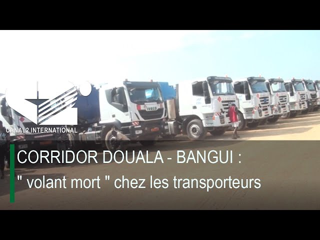 ⁣CORRIDOR DOUALA - BANGUI : " volant mort " chez les transporteurs