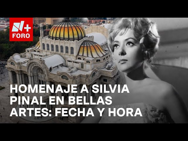 ⁣Silvia Pinal: Detalles del homenaje póstumo en Bellas Artes - Noticias MX