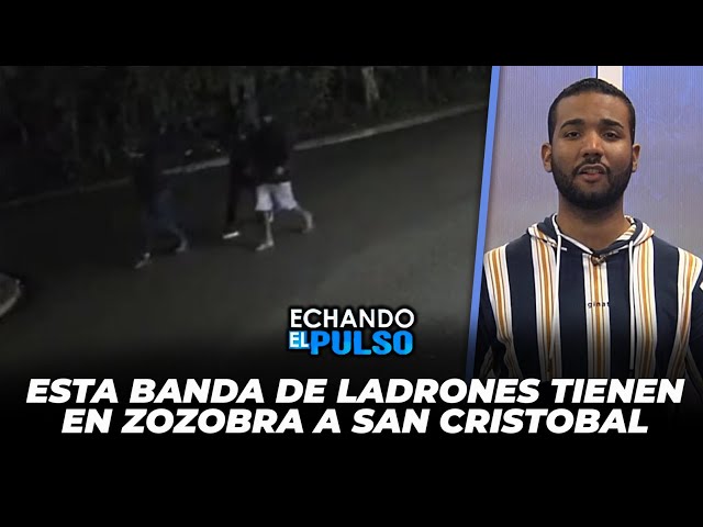 ⁣Esta banda de ladrones tienen en zozobra a San Cristóbal | Echando El Pulso