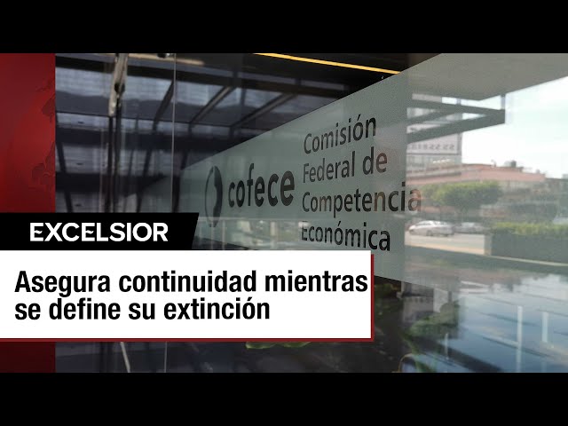 ⁣Cofece destaca la importancia de una política de competencia fuerte tras su extinción