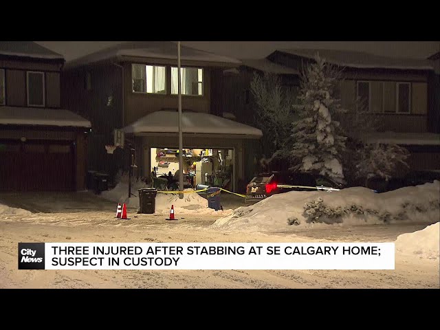 ⁣Three injured after stabbing at SE Calgary home; suspect in custody