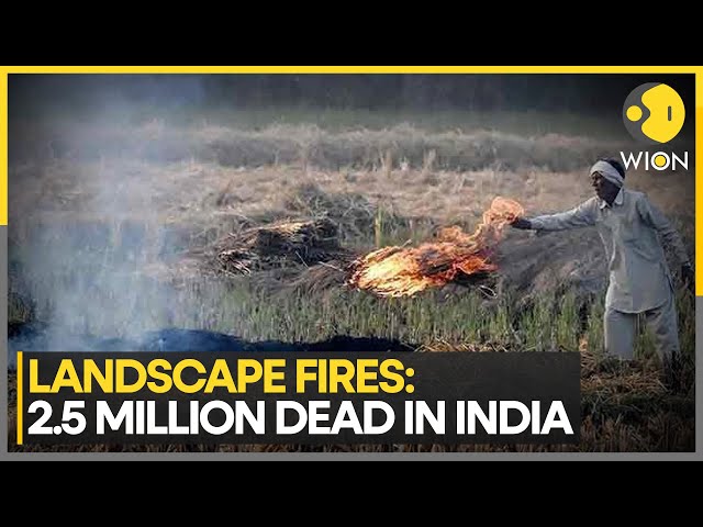 ⁣Air Pollution Deadly Toll Revealed: Over 2.5 Mn Deaths In India Linked To Landscape Fire Pollution