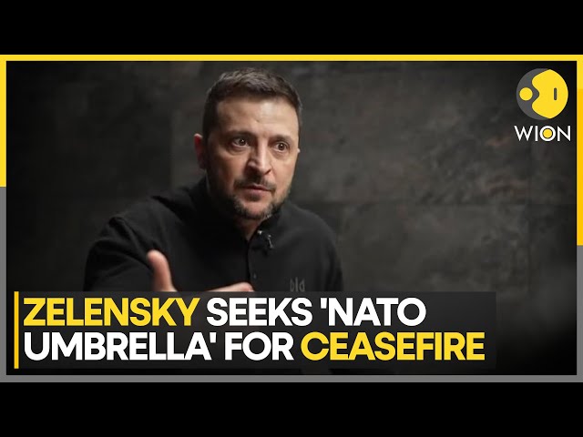 ⁣Russia-Ukraine War: NATO Protection Can End 'Hot Stage': Zelensky | World DNA | WION News