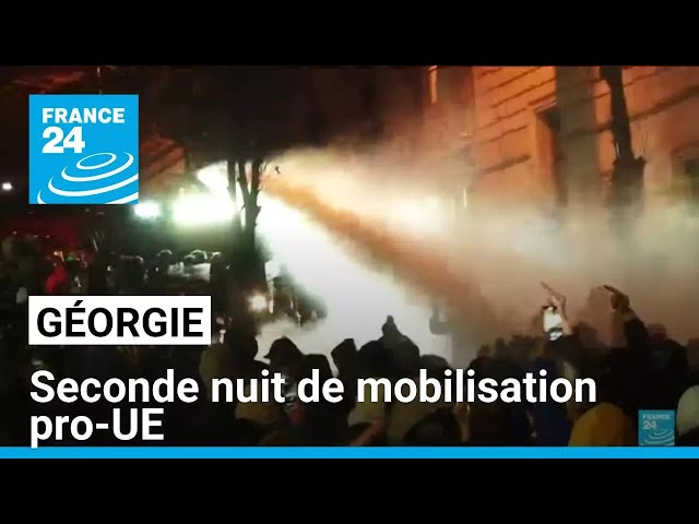 ⁣Georgie : Des milliers de manifestants pro-européens rassemblés à Tbilissi • FRANCE 24