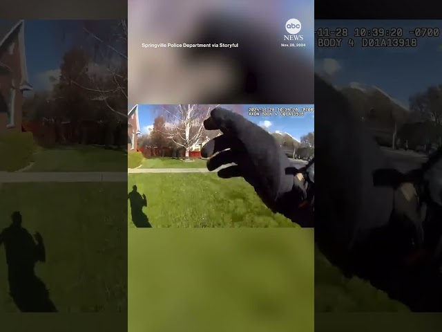 ⁣Police chase runaway pig in Utah neighborhood